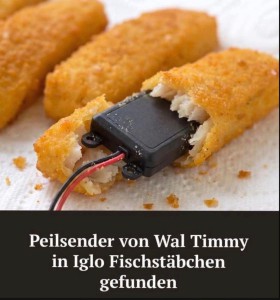 Timmi.jpeg